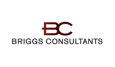 briggs-consultants